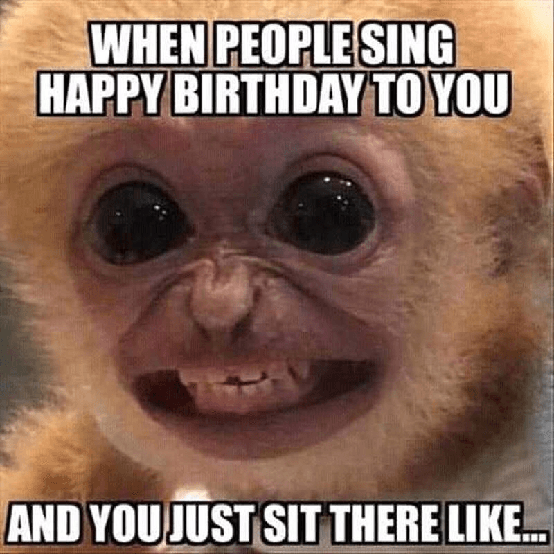 Funny Birthday Memes to Make Their Special Day Unforgettable