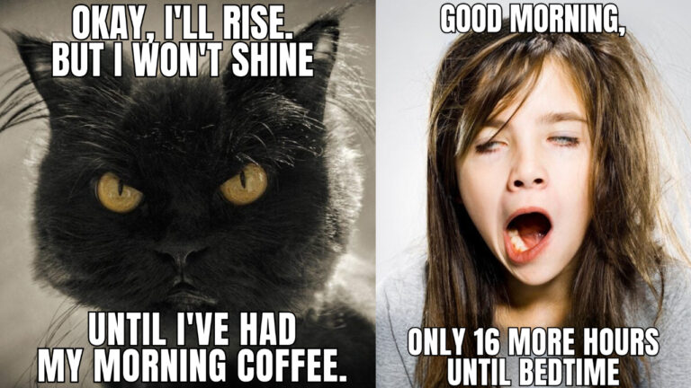 30 Funny Good Morning Message to Start Your Day Right