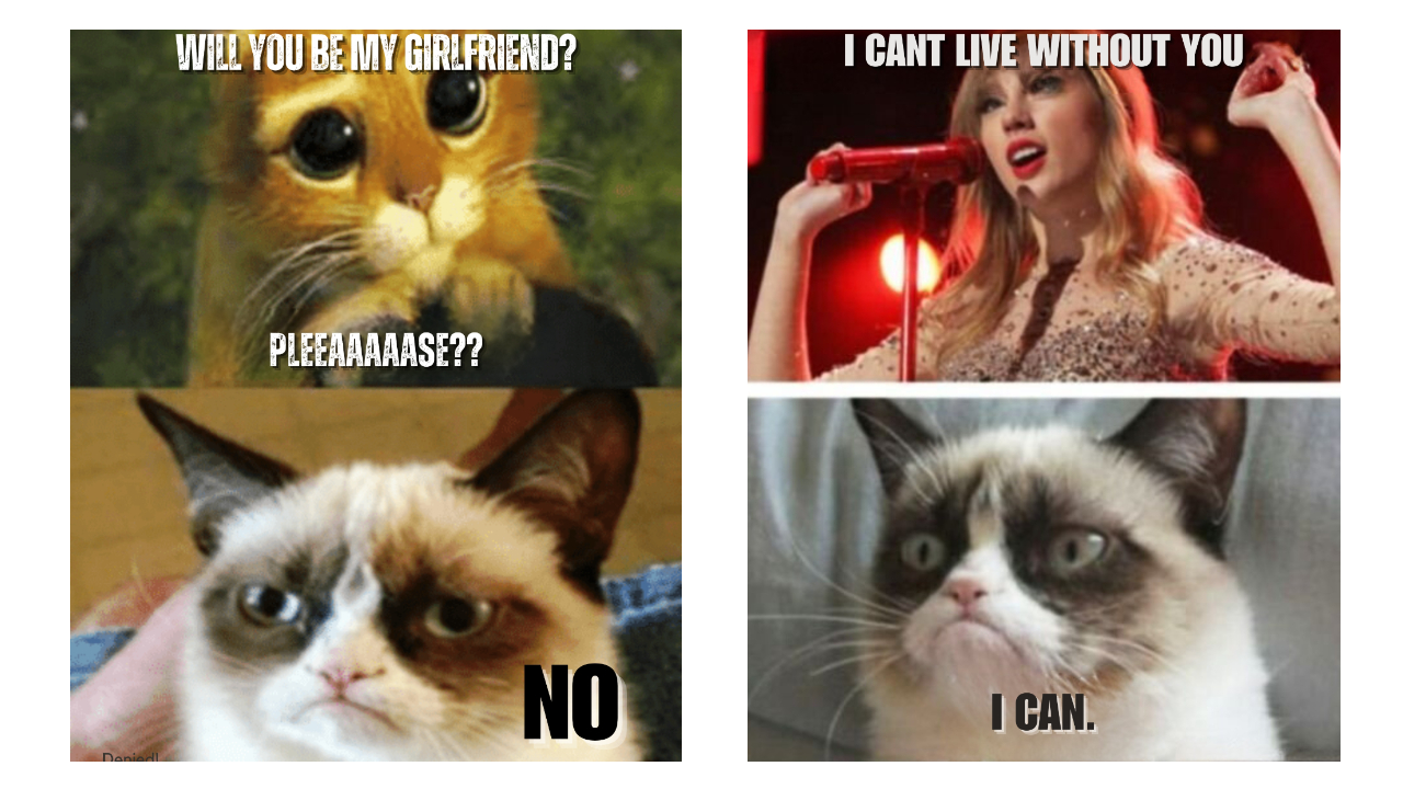 Grumpy Cat Memes