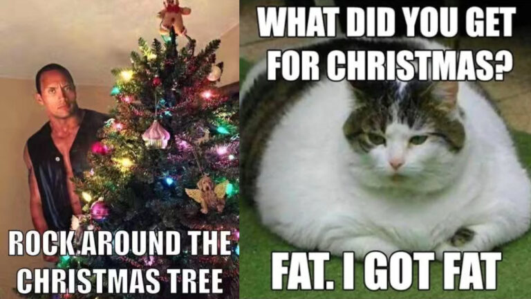 35+ Funny Christmas Memes [2024] That Will Make Your Holiday