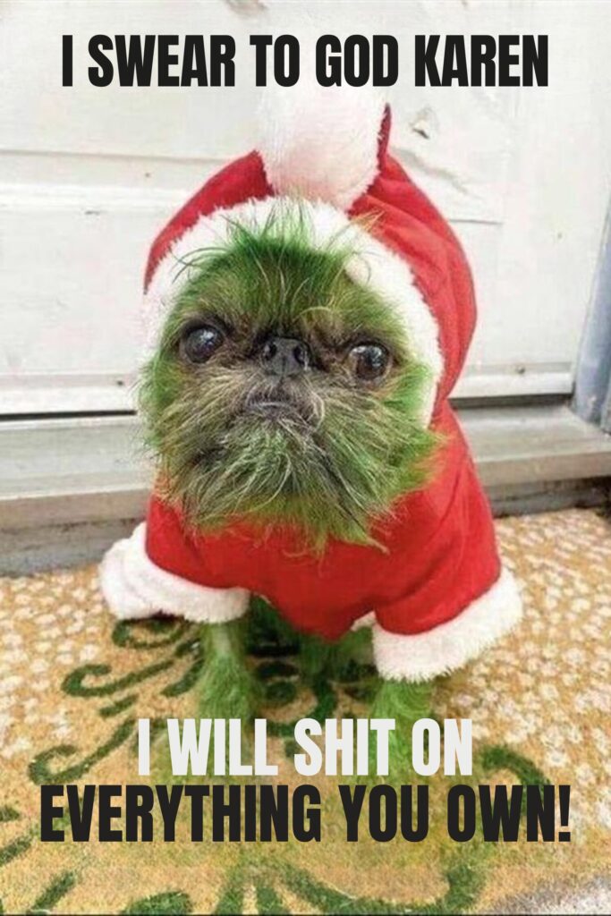 38 Funny Christmas Memes in [2024] That Will Make You Laugh Out Loud !