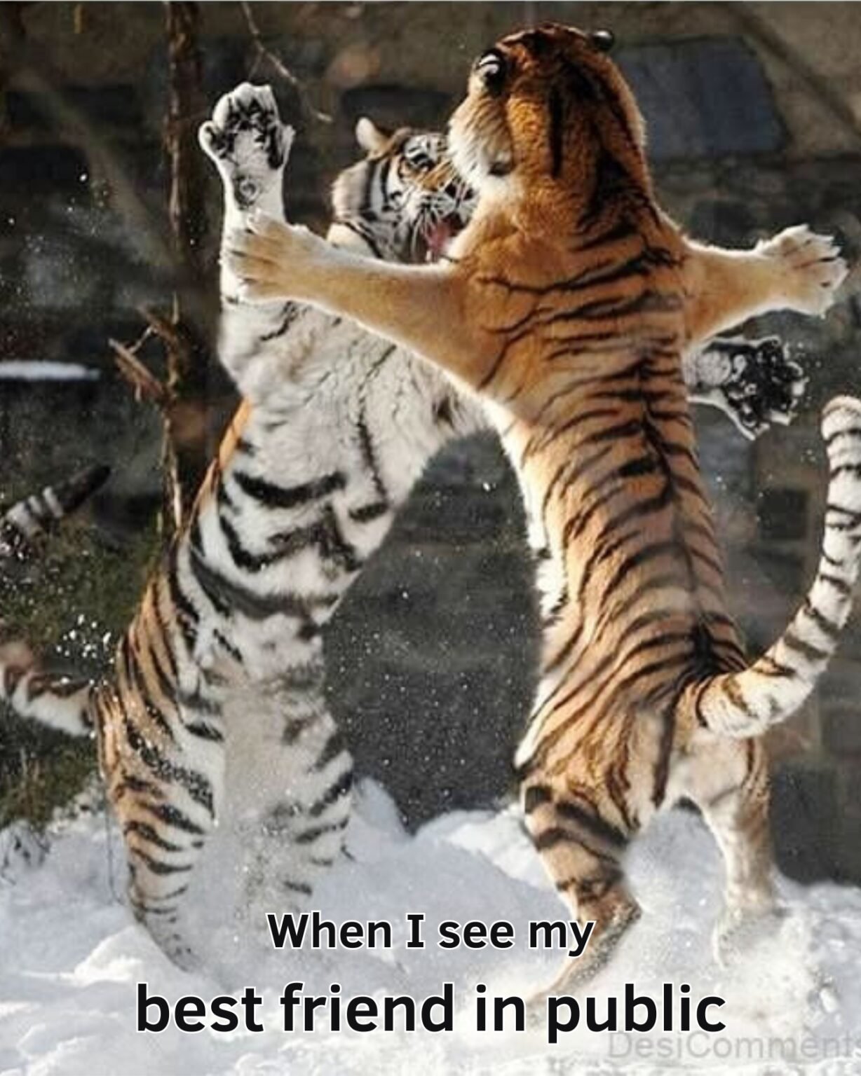 30 Funny Friendship Memes You Can Send To Your Bestie