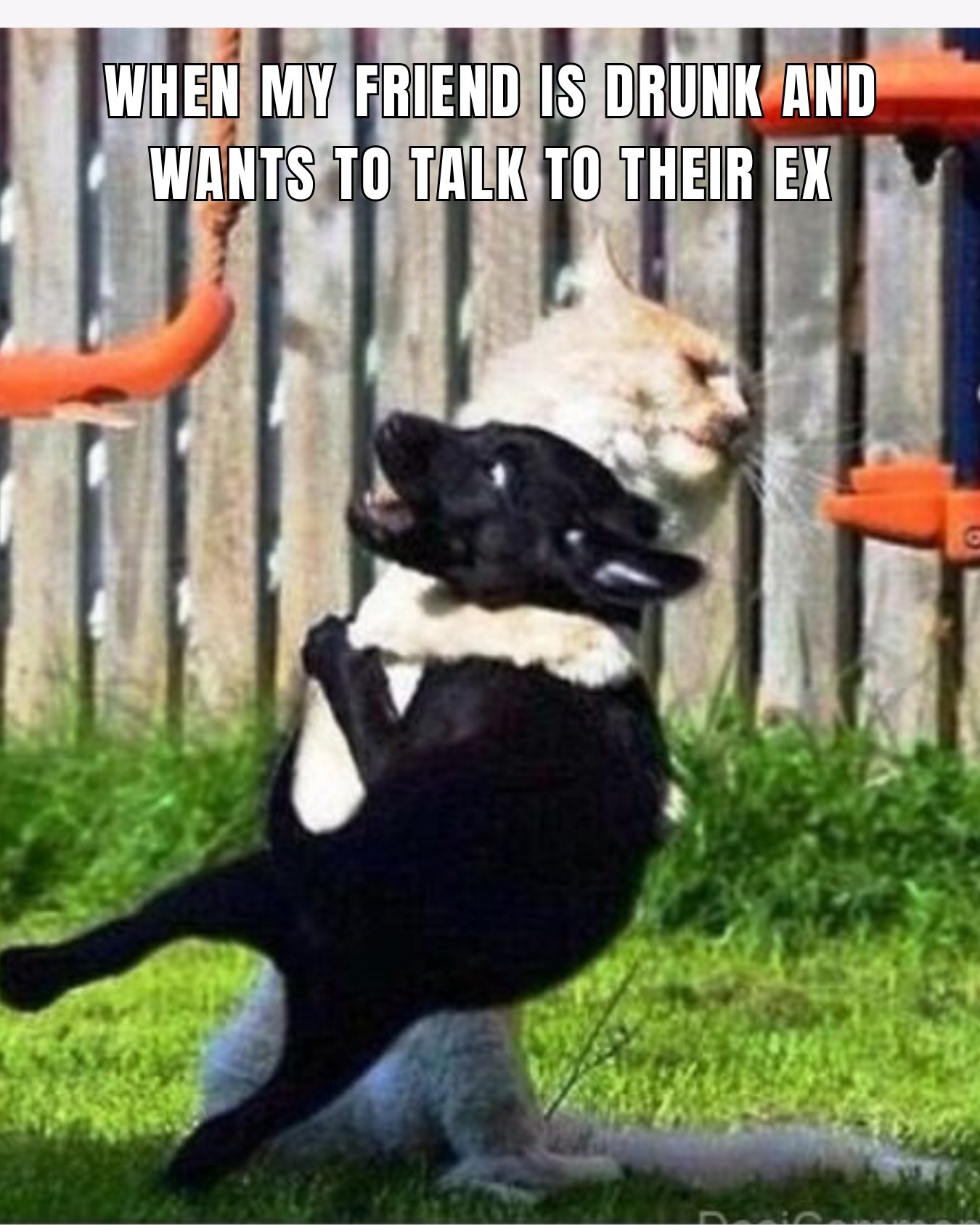 30 Funny Friendship Memes You Can Send To Your Bestie