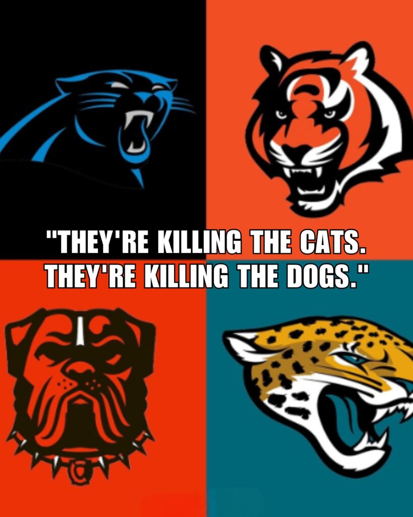 Funny NFL Memes