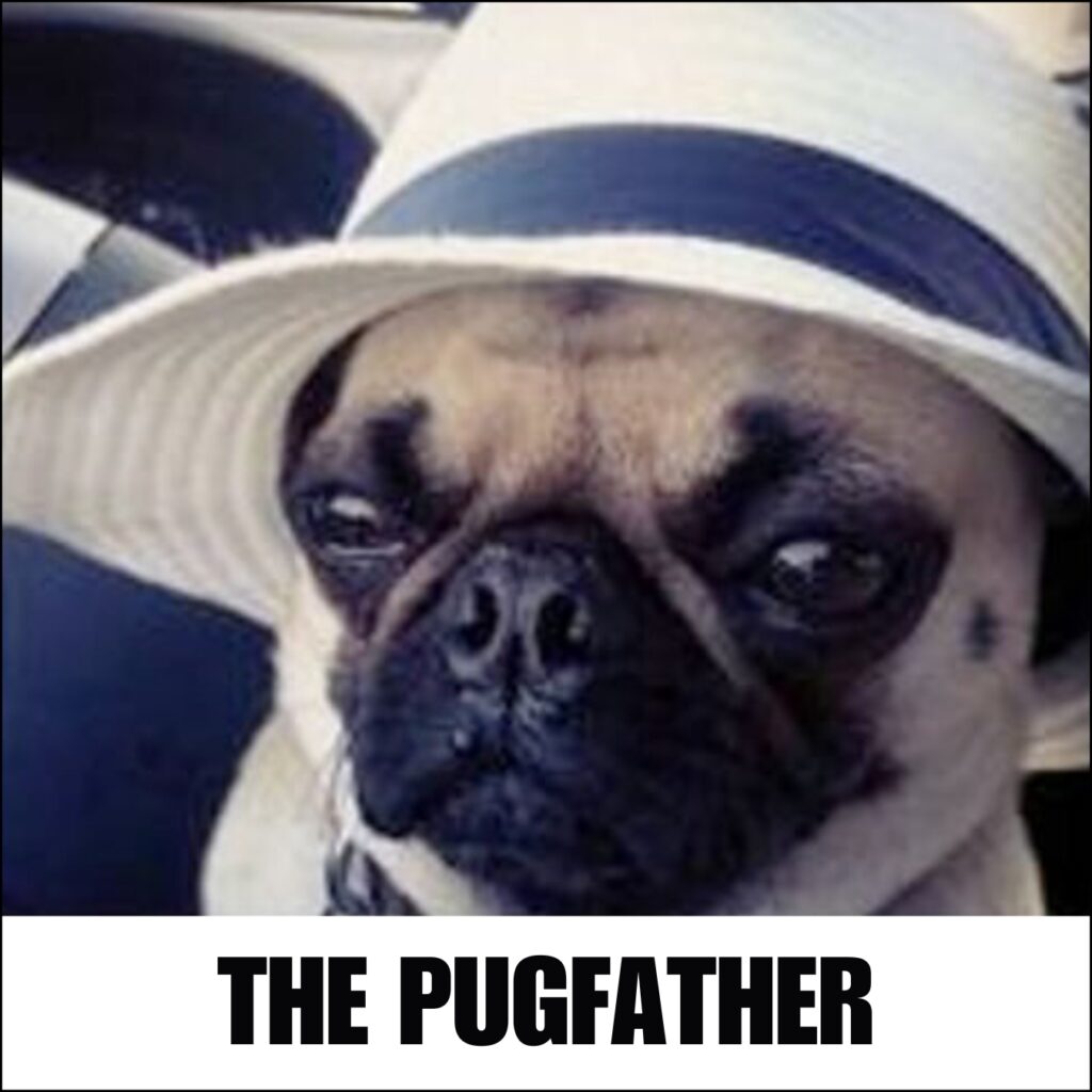 Funny Pug Memes