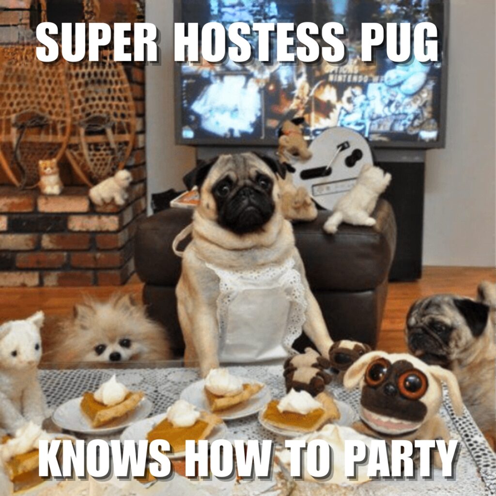 Funny Pug Memes