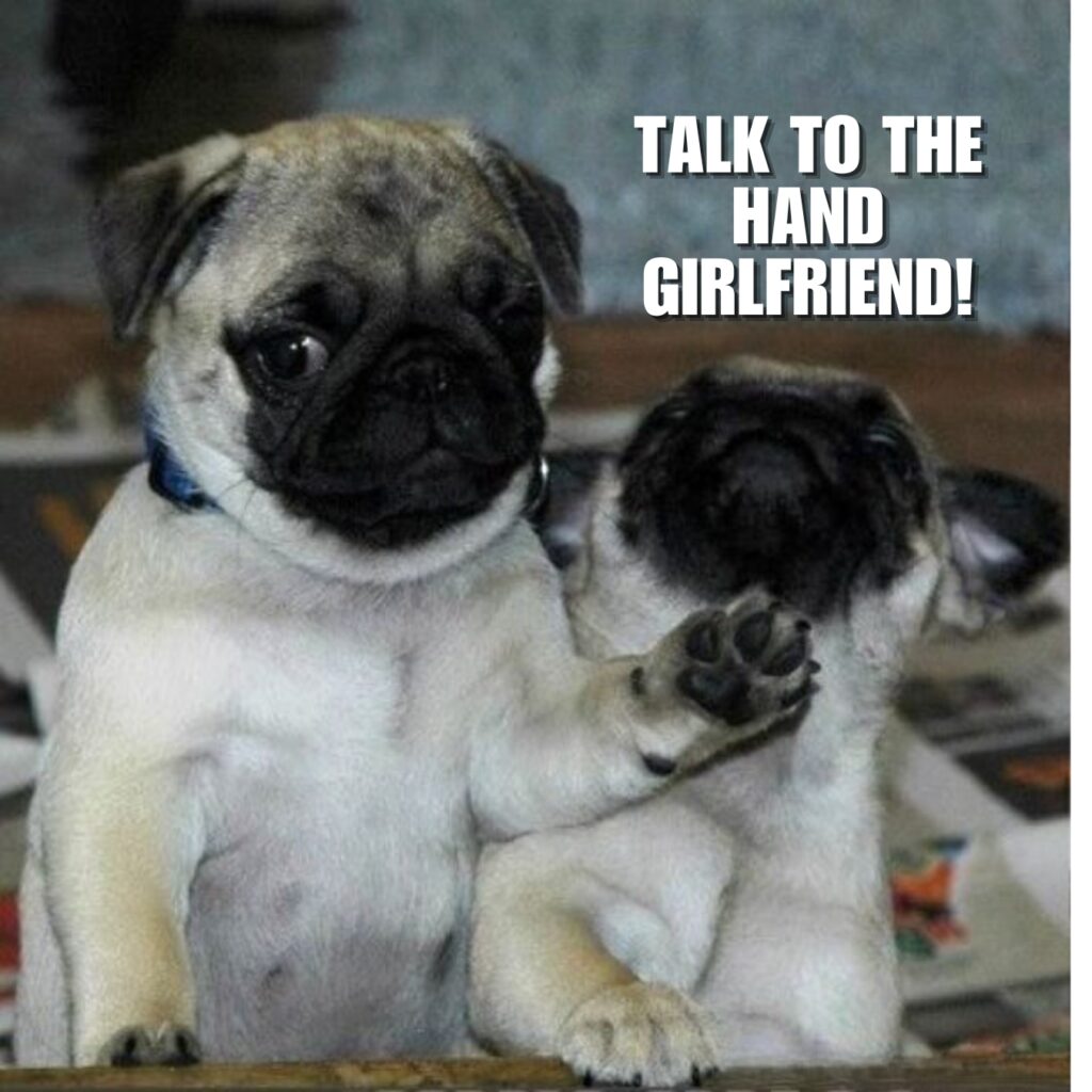 Funny Pug Memes