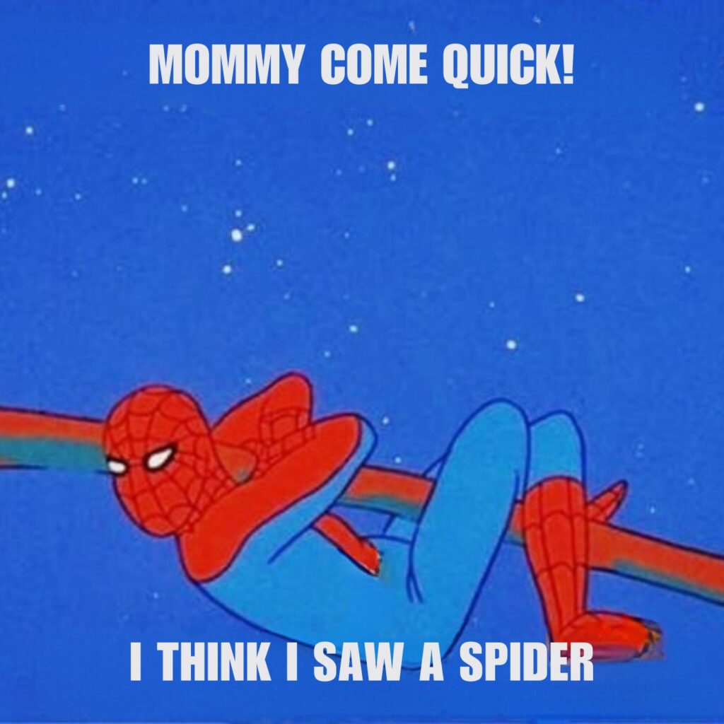 Funny Spider Man Memes