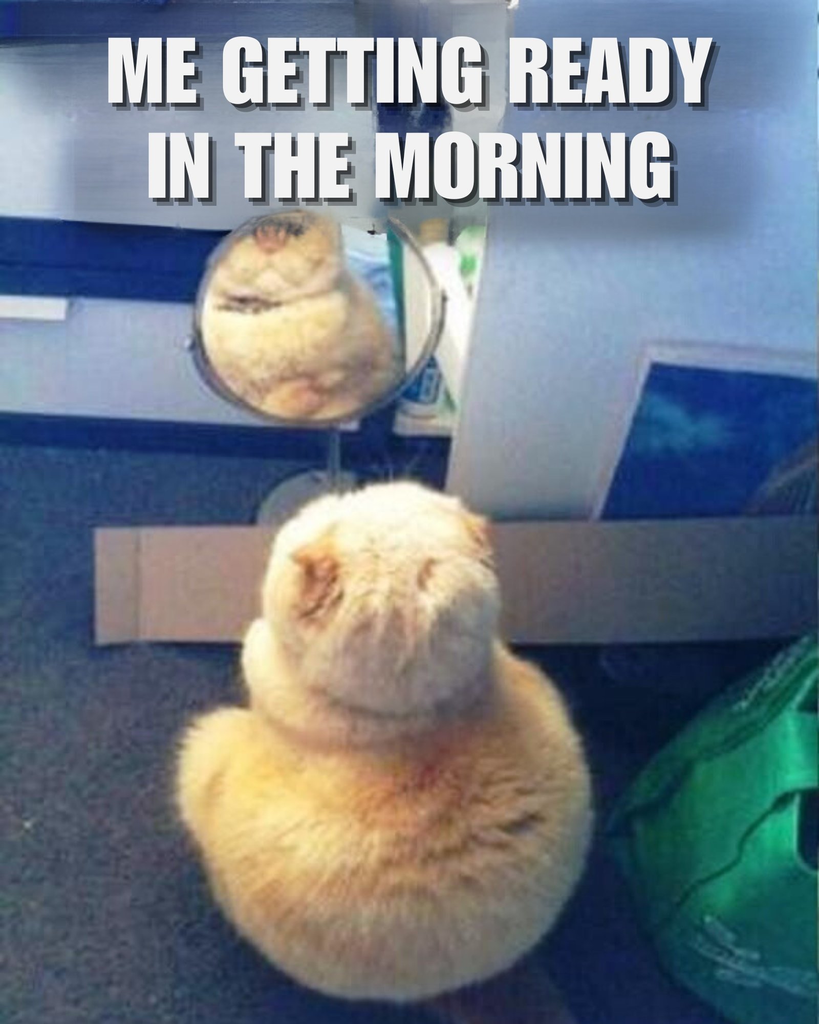 50 Funny Good Morning Memes From Smiles to LOLs