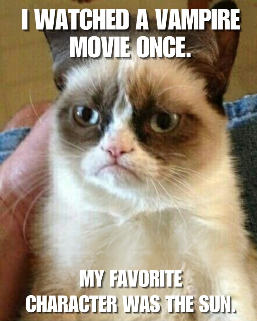 Grumpy Cat Memes