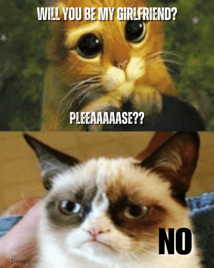 Grumpy Cat Memes