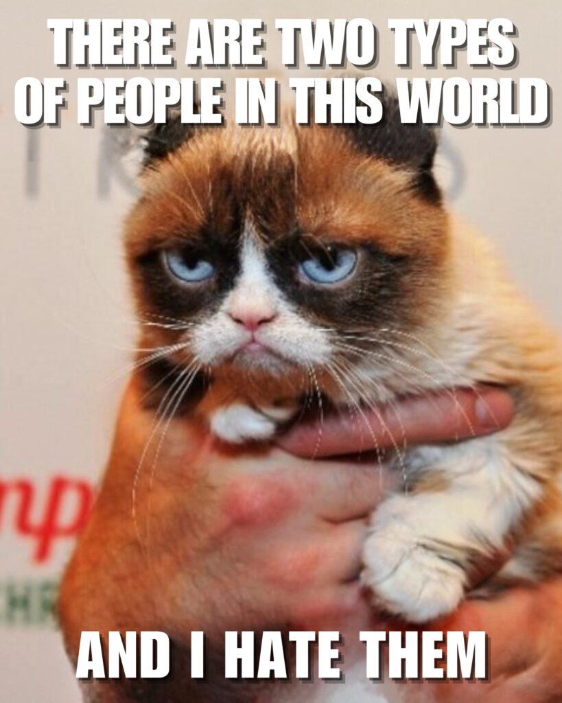 Grumpy Cat Memes