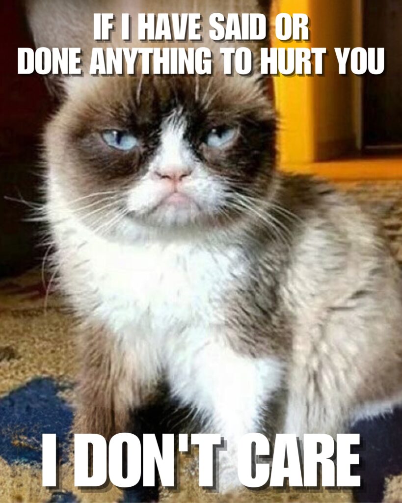 Grumpy Cat Memes