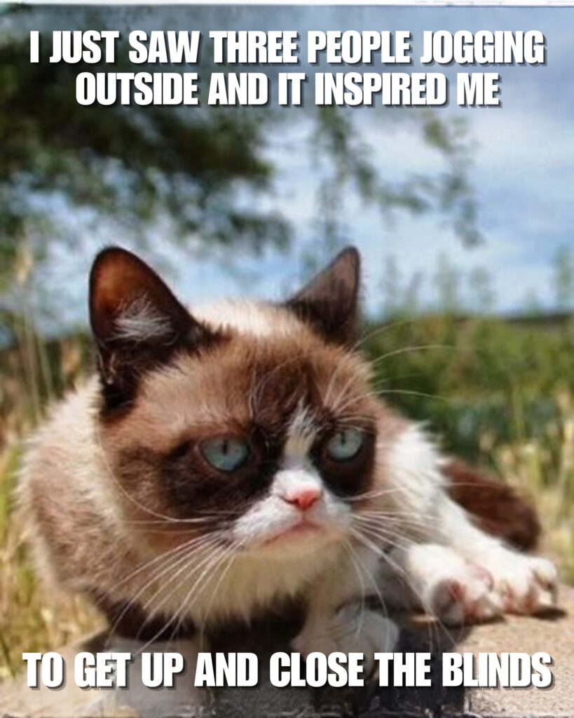 Grumpy Cat Memes