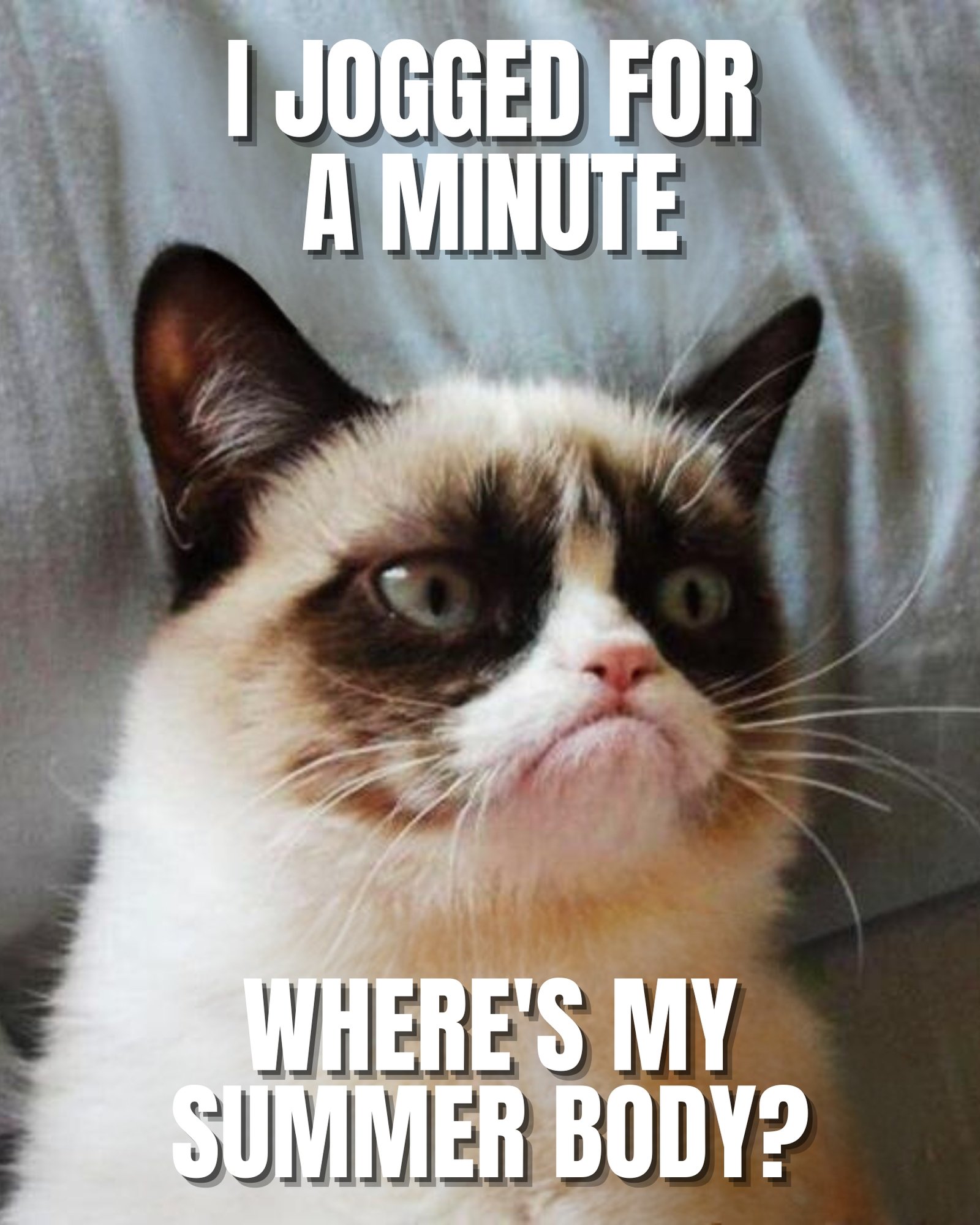 30 Most Funniest Grumpy Cat Memes You Will Laugh at Every Time