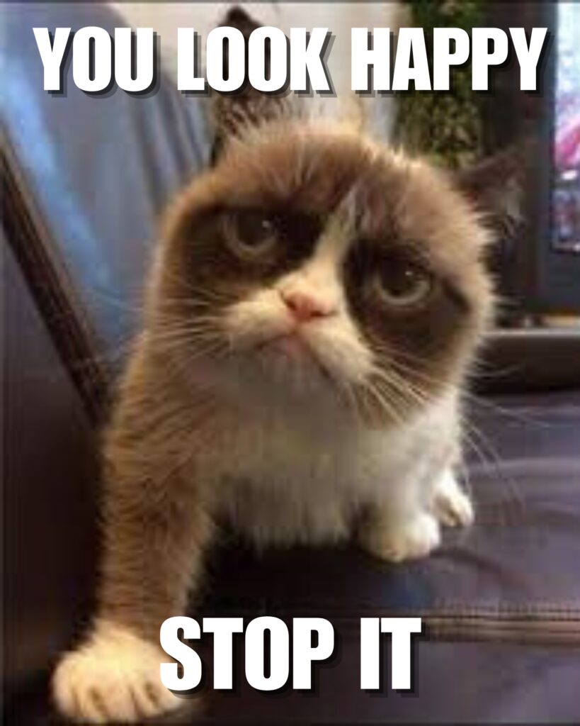 Grumpy Cat Memes