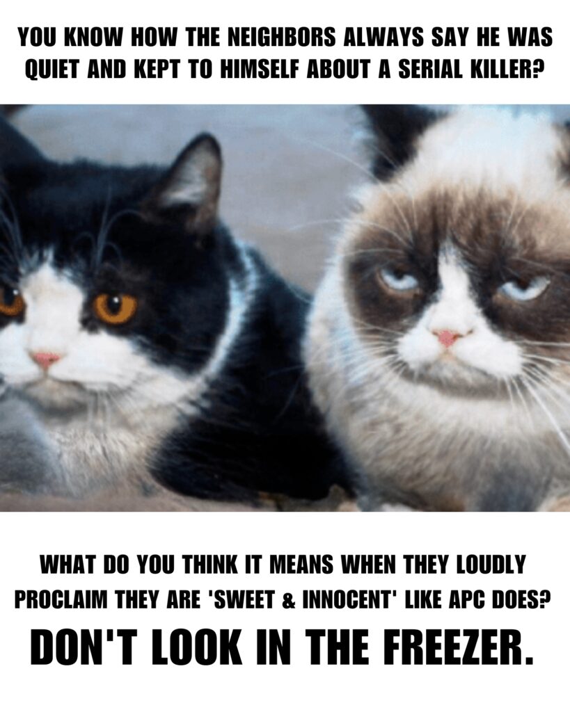 Grumpy Cat Memes