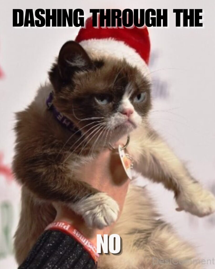 Grumpy Cat Memes