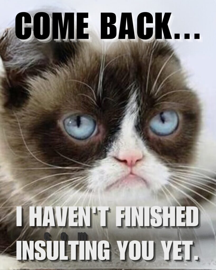 Grumpy Cat Memes