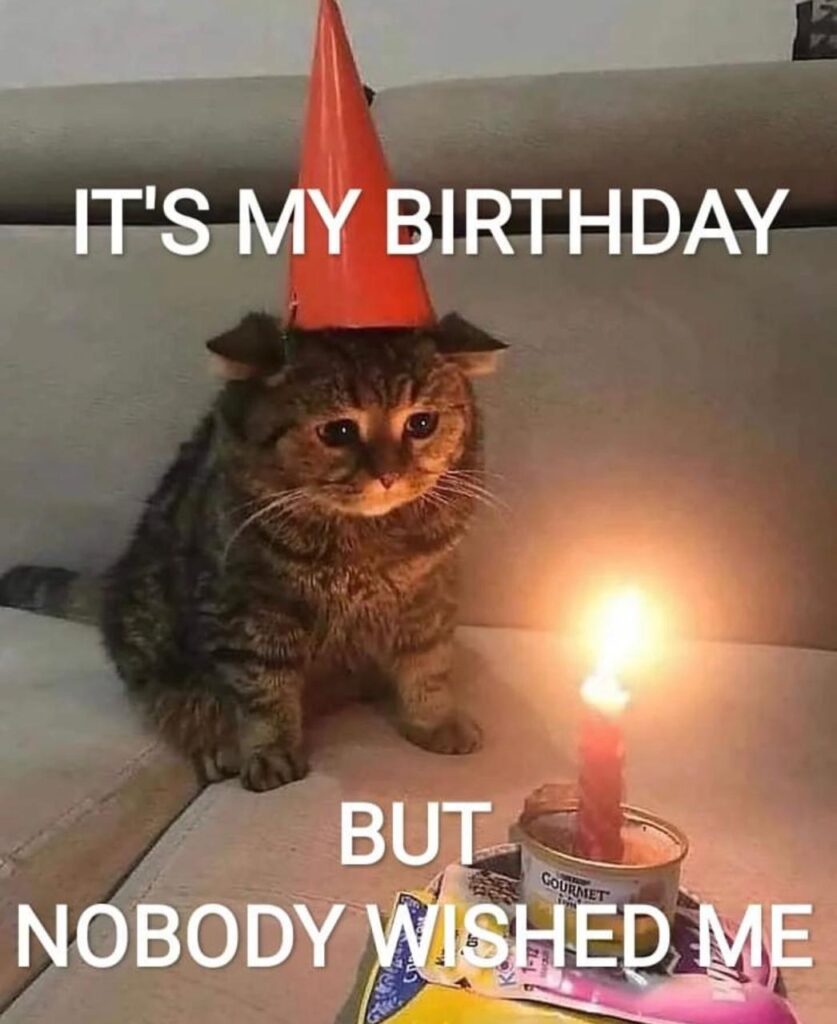 50+ Funny Happy Birthday Memes to Celebrate and Laugh with Love One