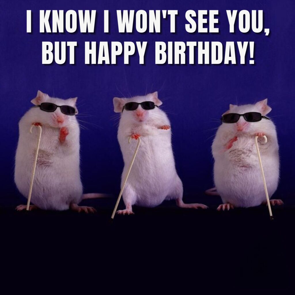 66 Funny Happy Birthday Memes to Celebrate & Laugh with Love One