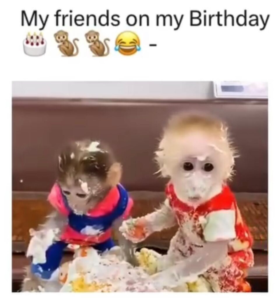 50+ Funny Happy Birthday Memes to Celebrate and Laugh with Love One