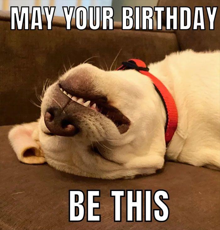 50+ Funny Happy Birthday Memes to Celebrate and Laugh with Love One