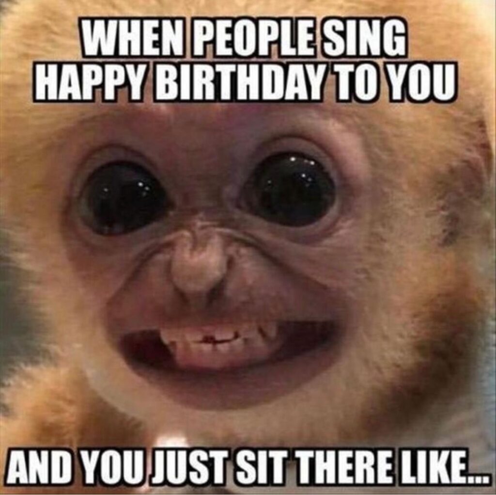 50+ Funny Happy Birthday Memes to Celebrate and Laugh with Love One