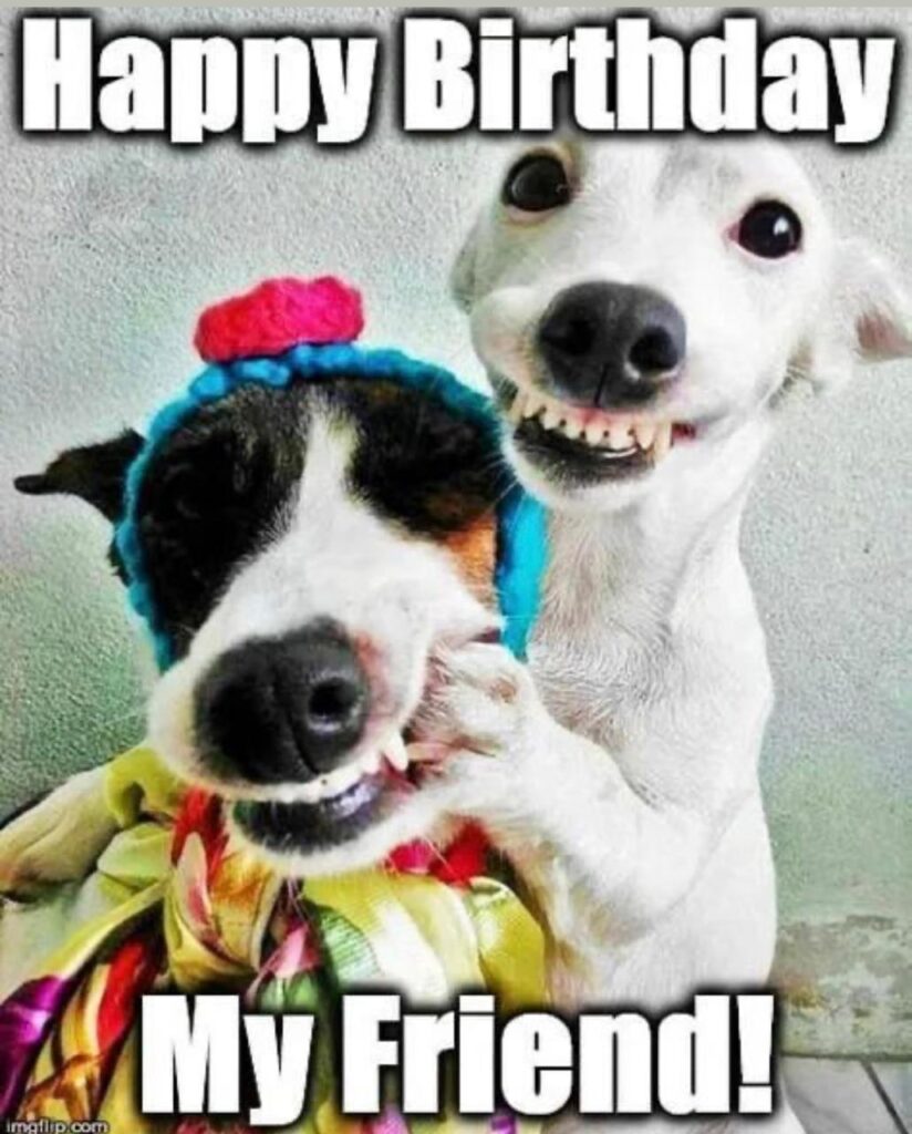 50+ Funny Happy Birthday Memes to Celebrate and Laugh with Love One