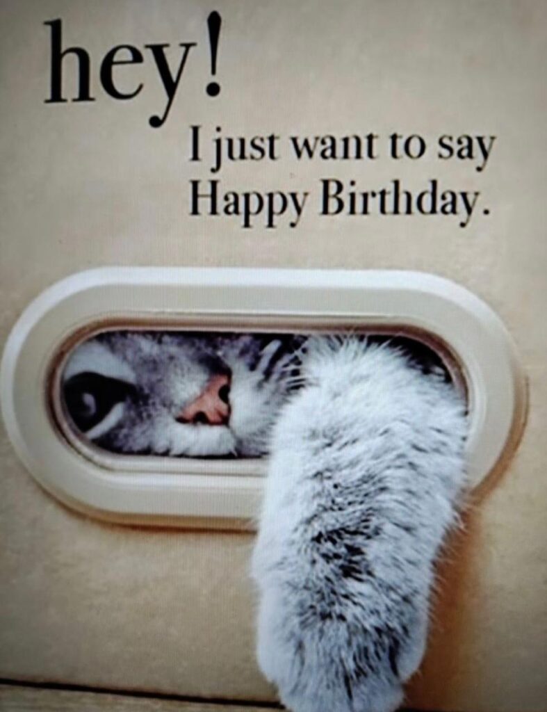 50+ Funny Happy Birthday Memes to Celebrate and Laugh with Love One