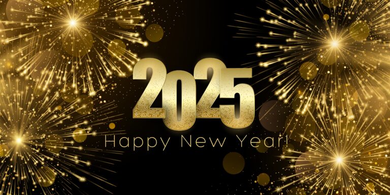 Happy New Year 2025 GIF