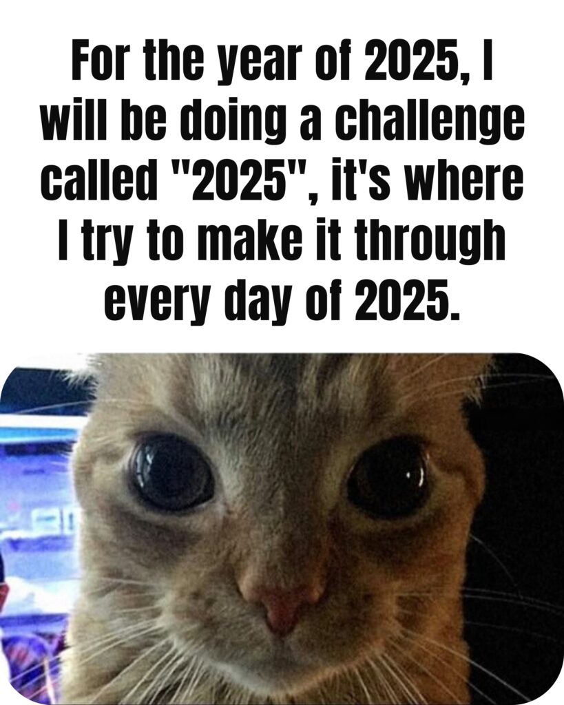 40+ Most Funniest Happy New Year 2025 Memes