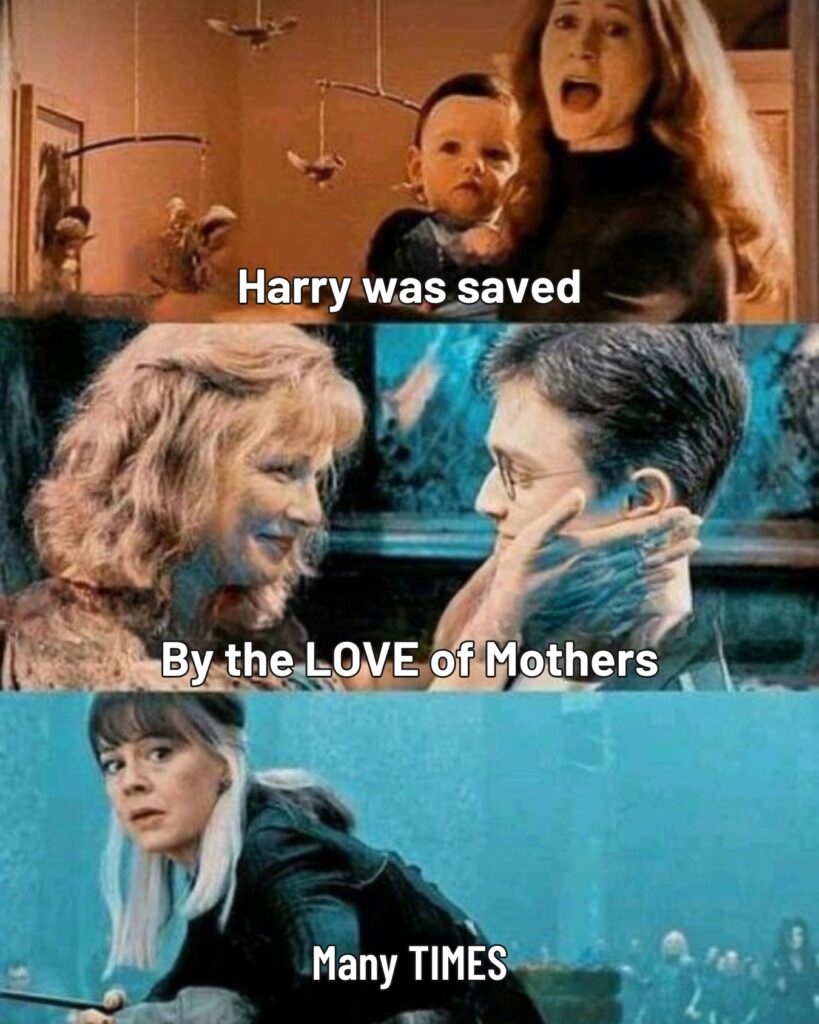 Harry Potter Memes