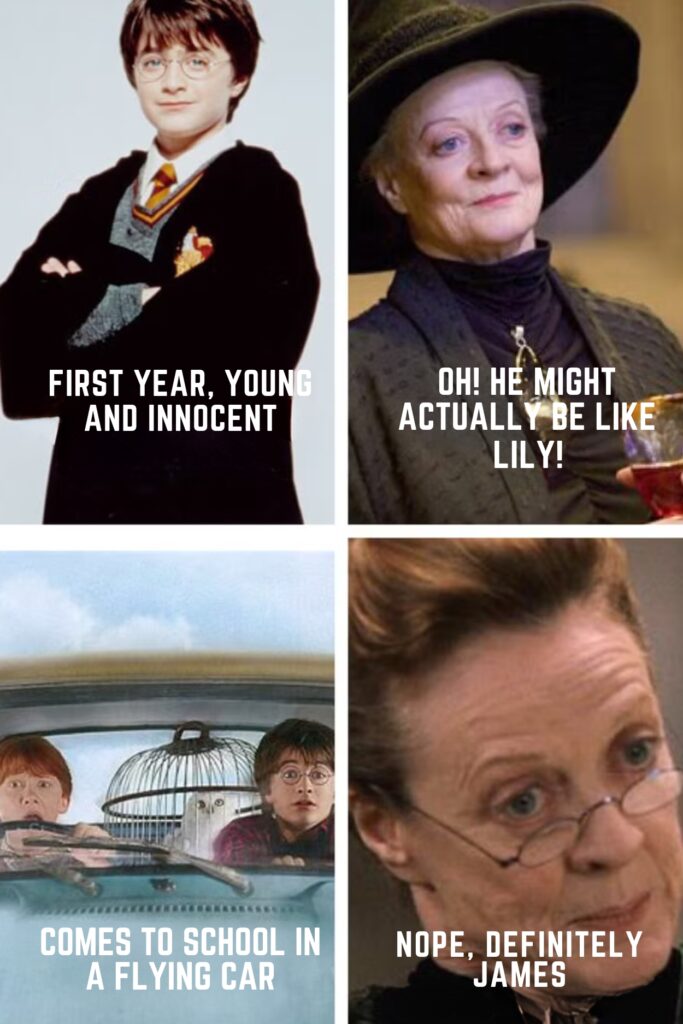 Harry Potter Memes