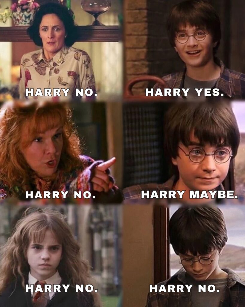 Harry Potter Memes