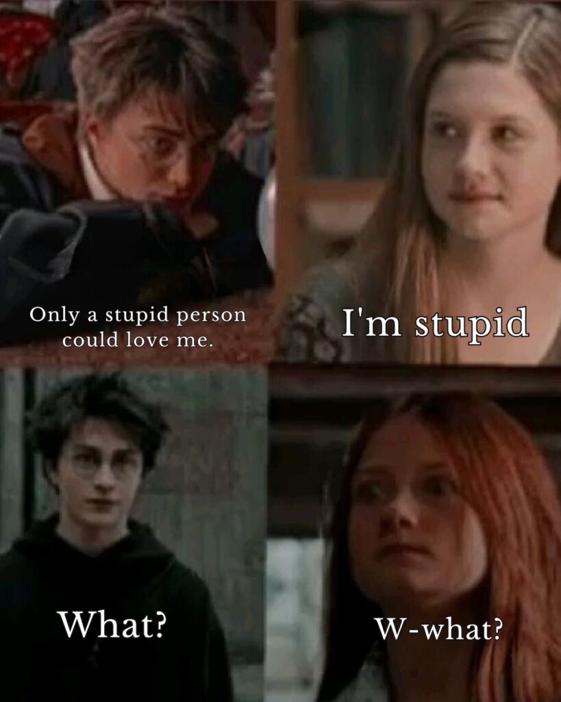 Harry Potter Memes