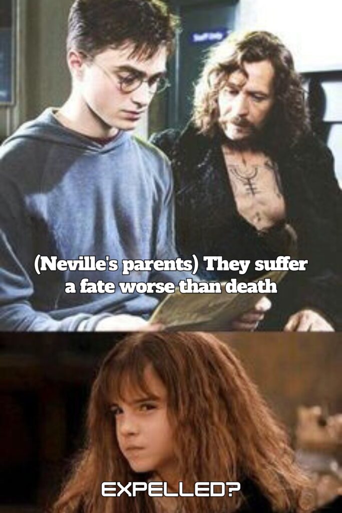 Harry Potter Memes