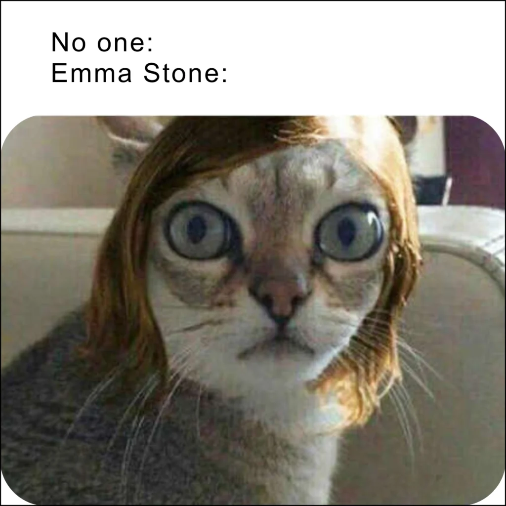 The 30 Most Hilarious Celebrity Memes 20 Hilarious Celebrity Memes