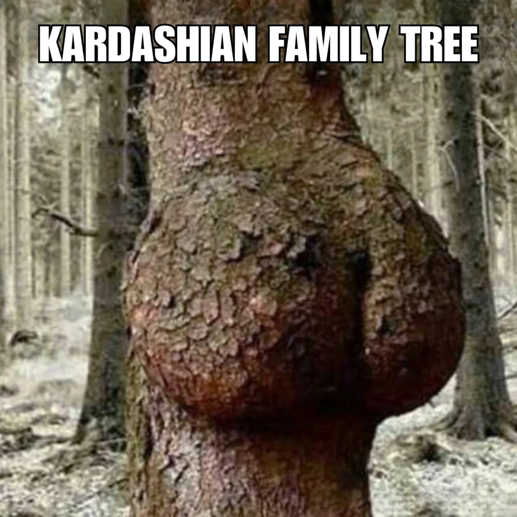 The 30 Most Hilarious Celebrity Memes 4 Hilarious Celebrity Memes