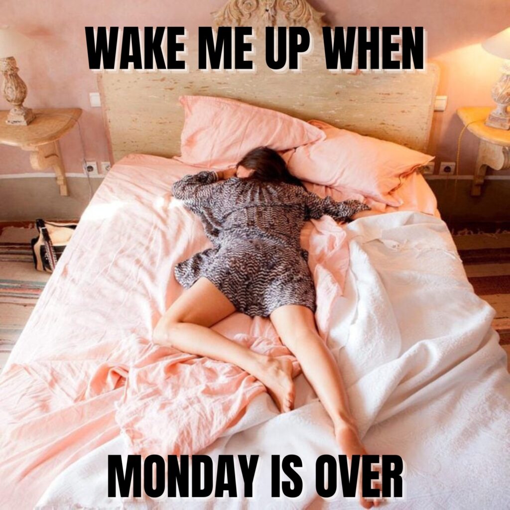 Here are 30 Hilarious Monday Memes To Brighten Your Day