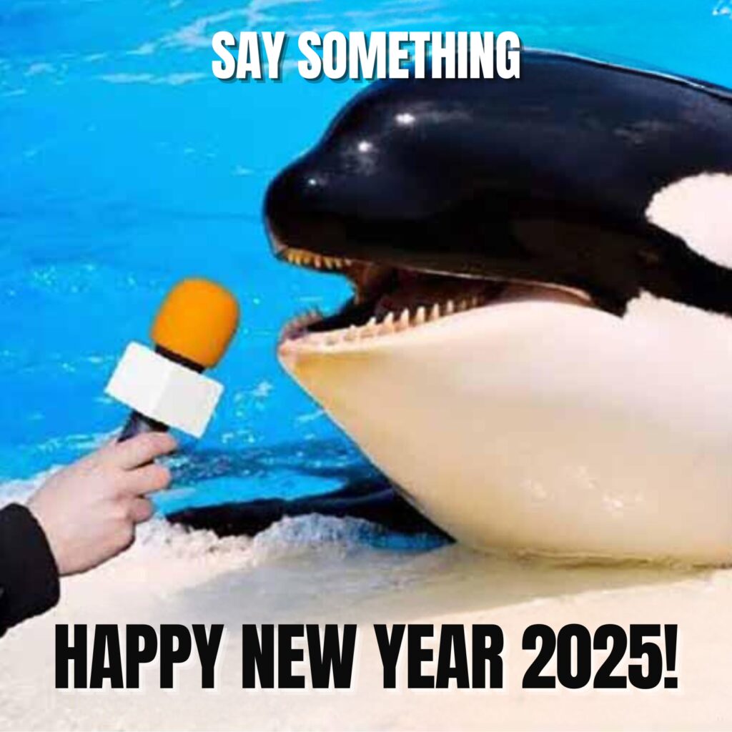 New Year Memes