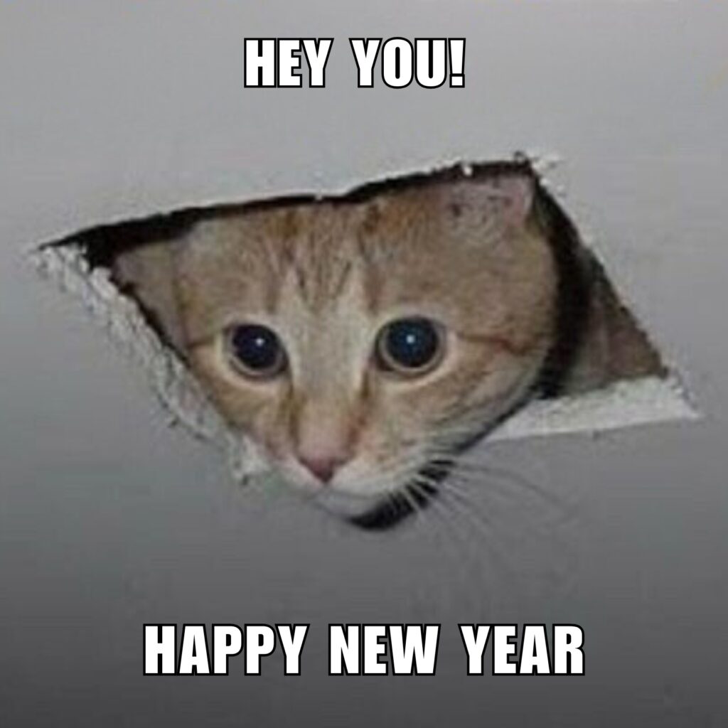 New Year Memes