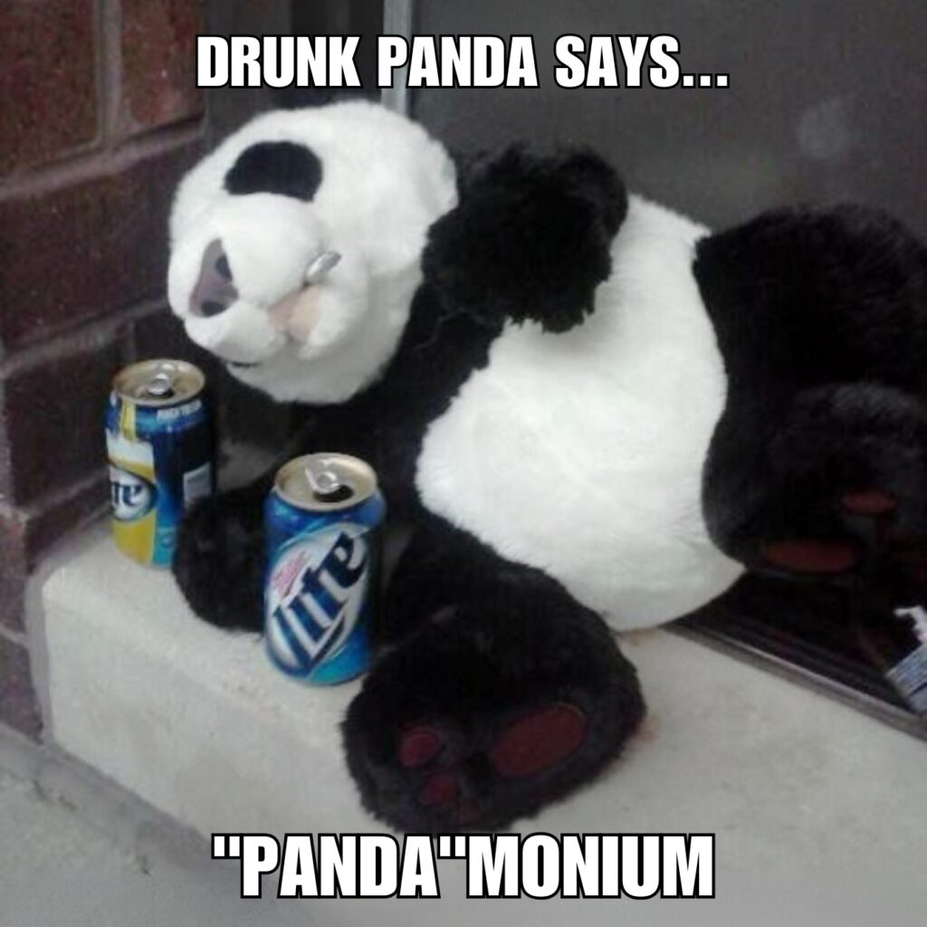 Panda Memes