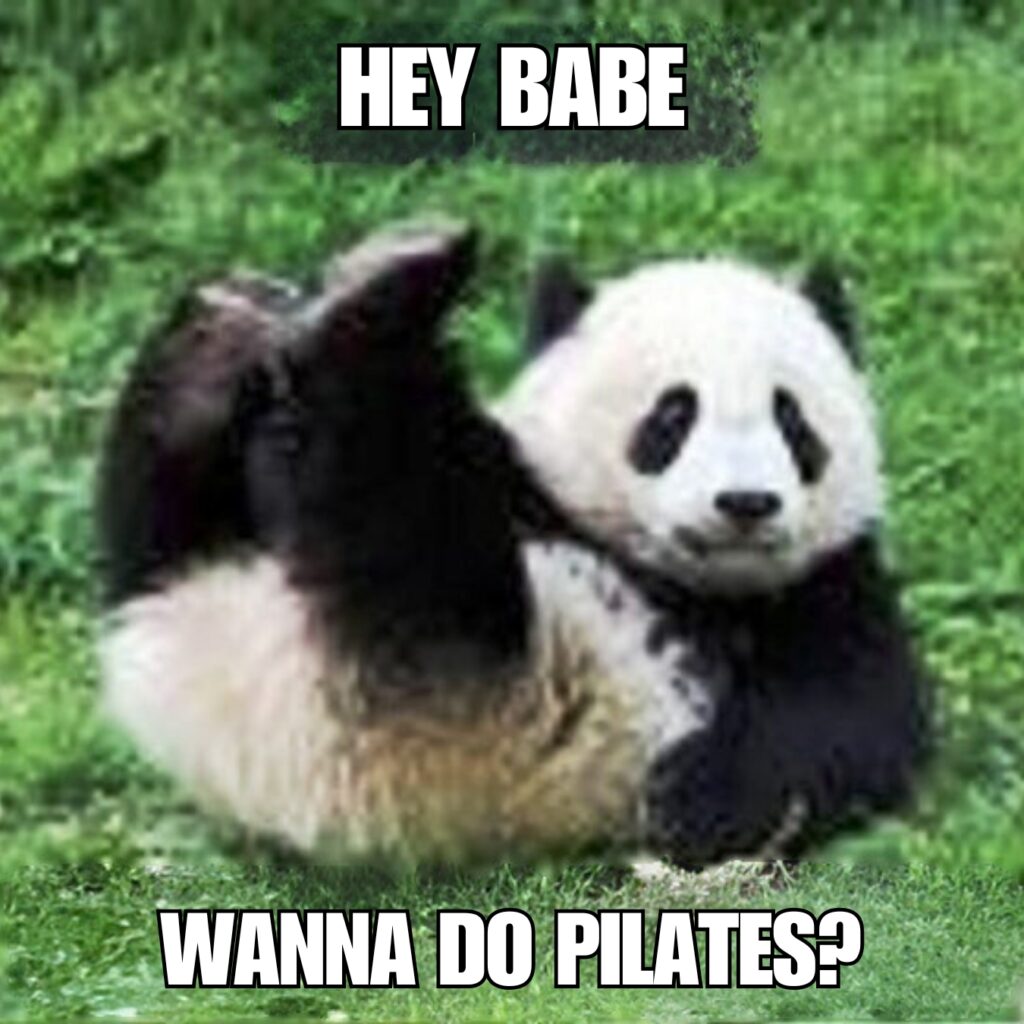 Panda Memes