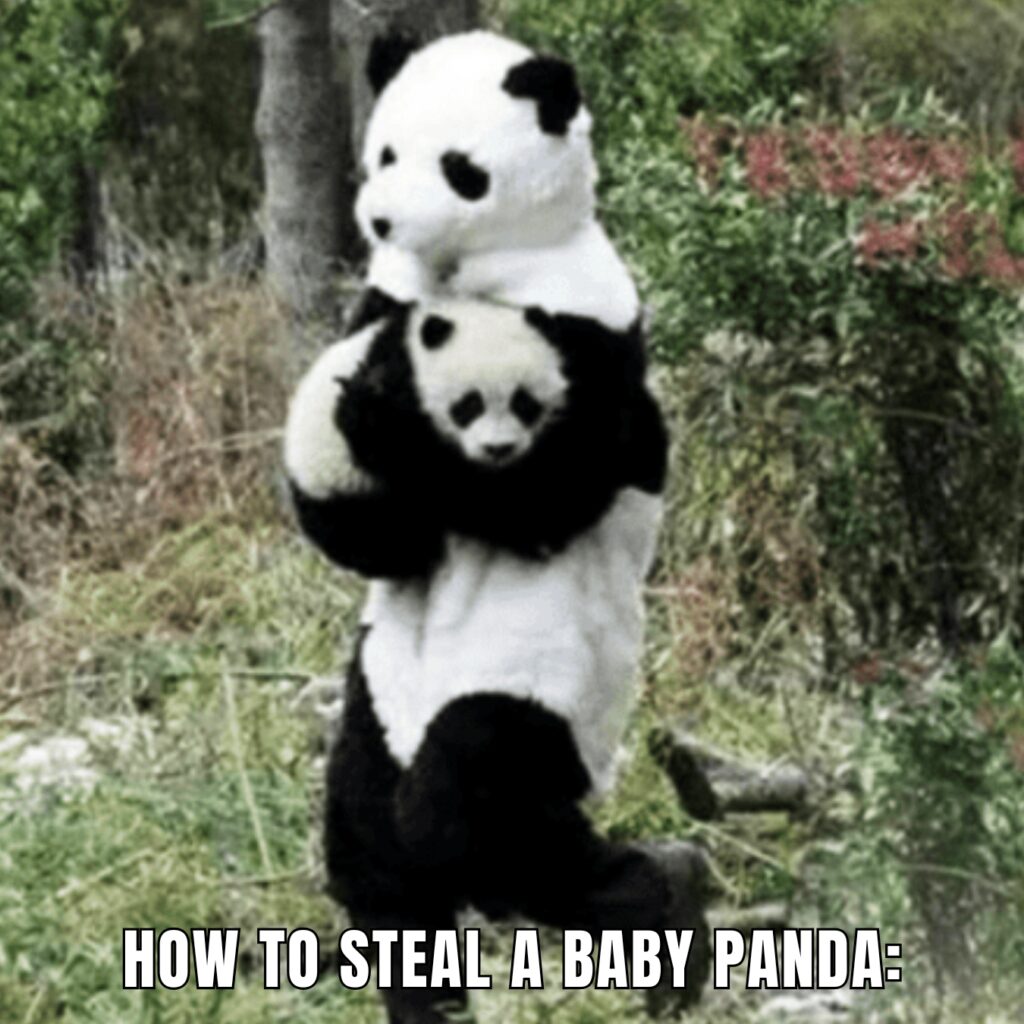 Panda Memes