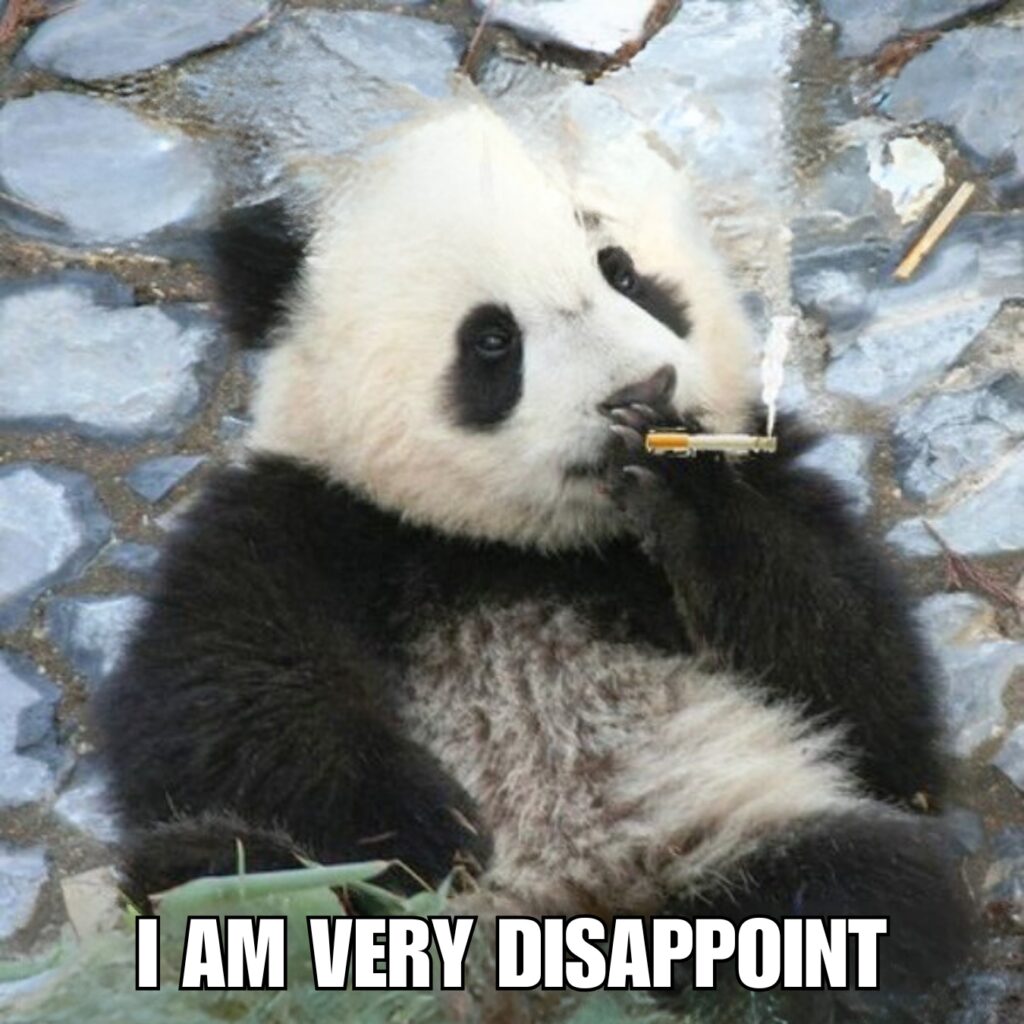 Panda Memes