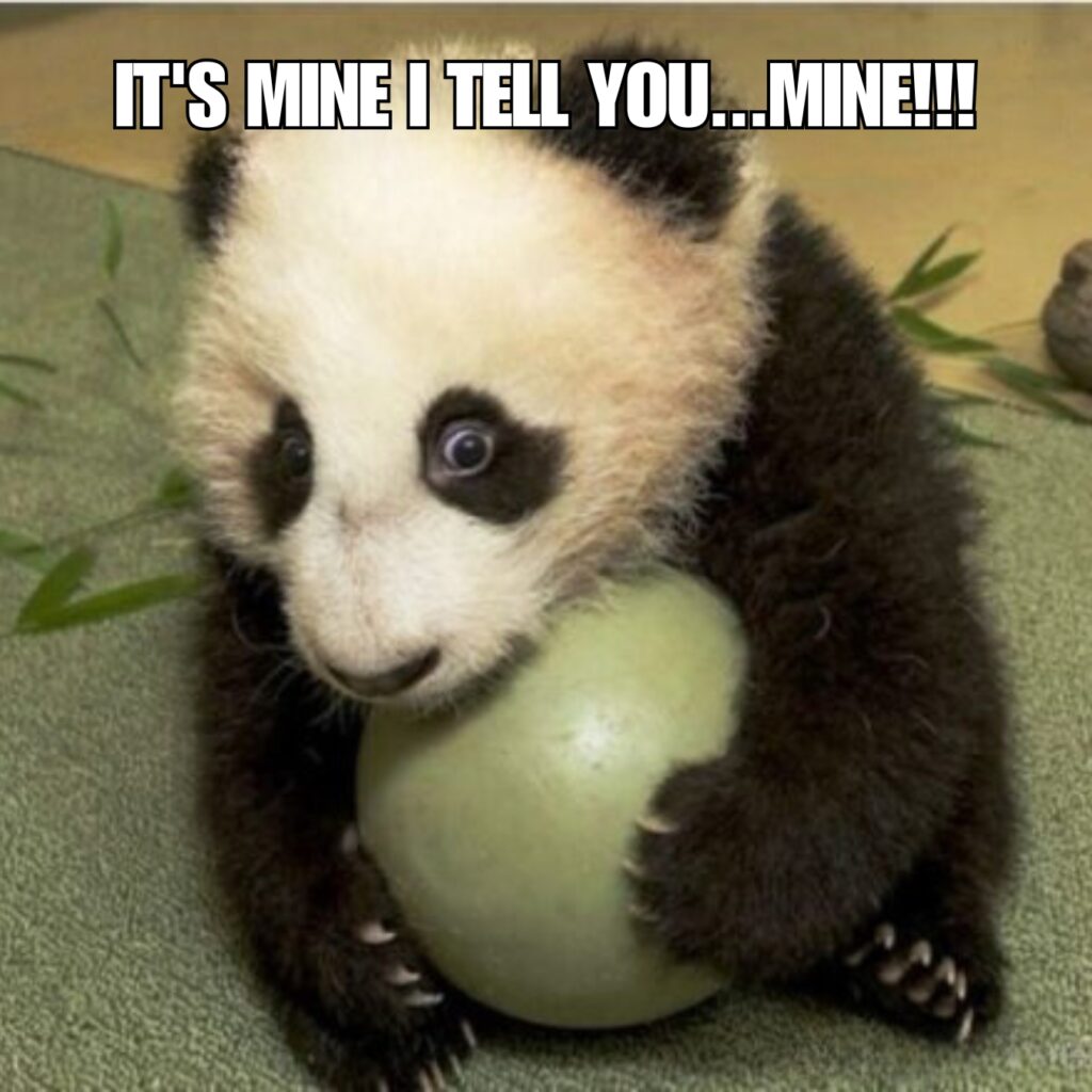 Panda Memes