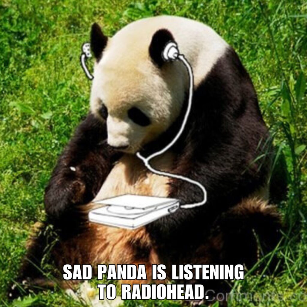 Panda Memes