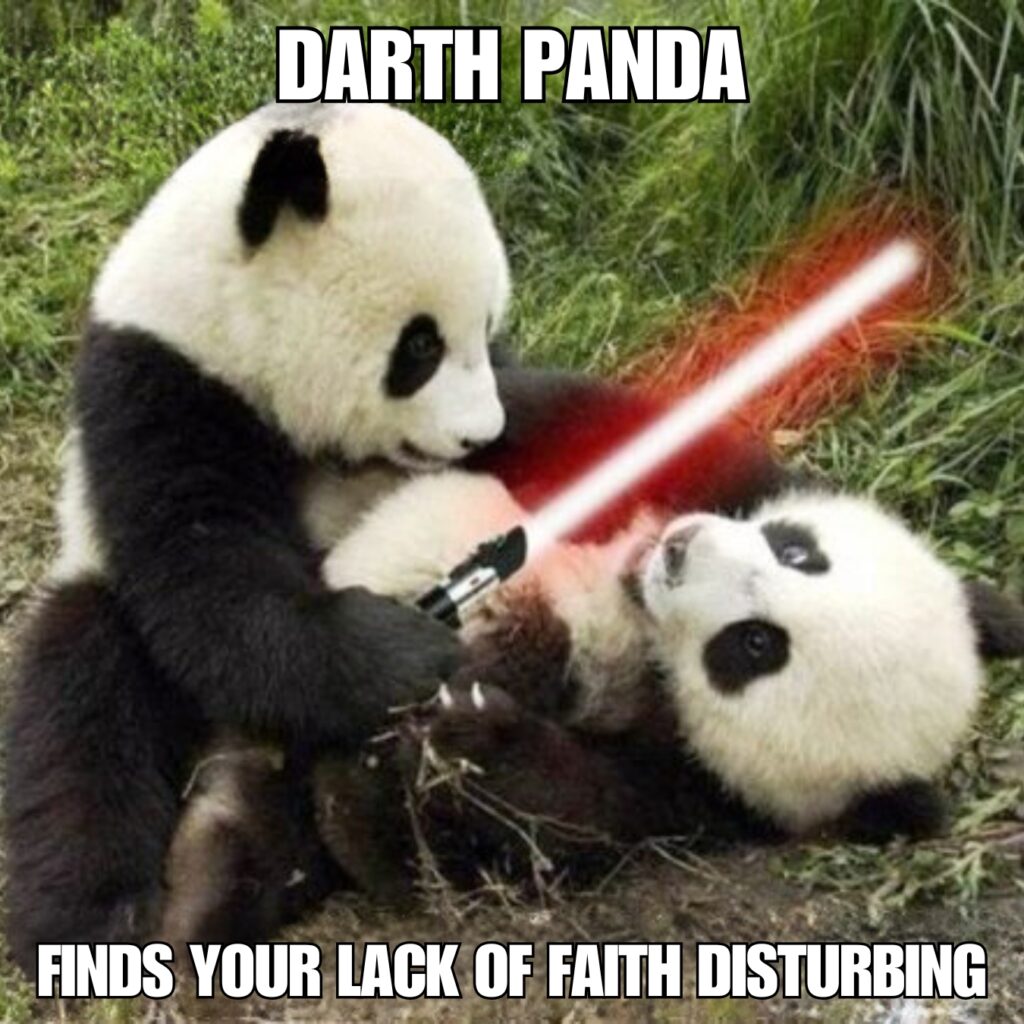 Panda Memes