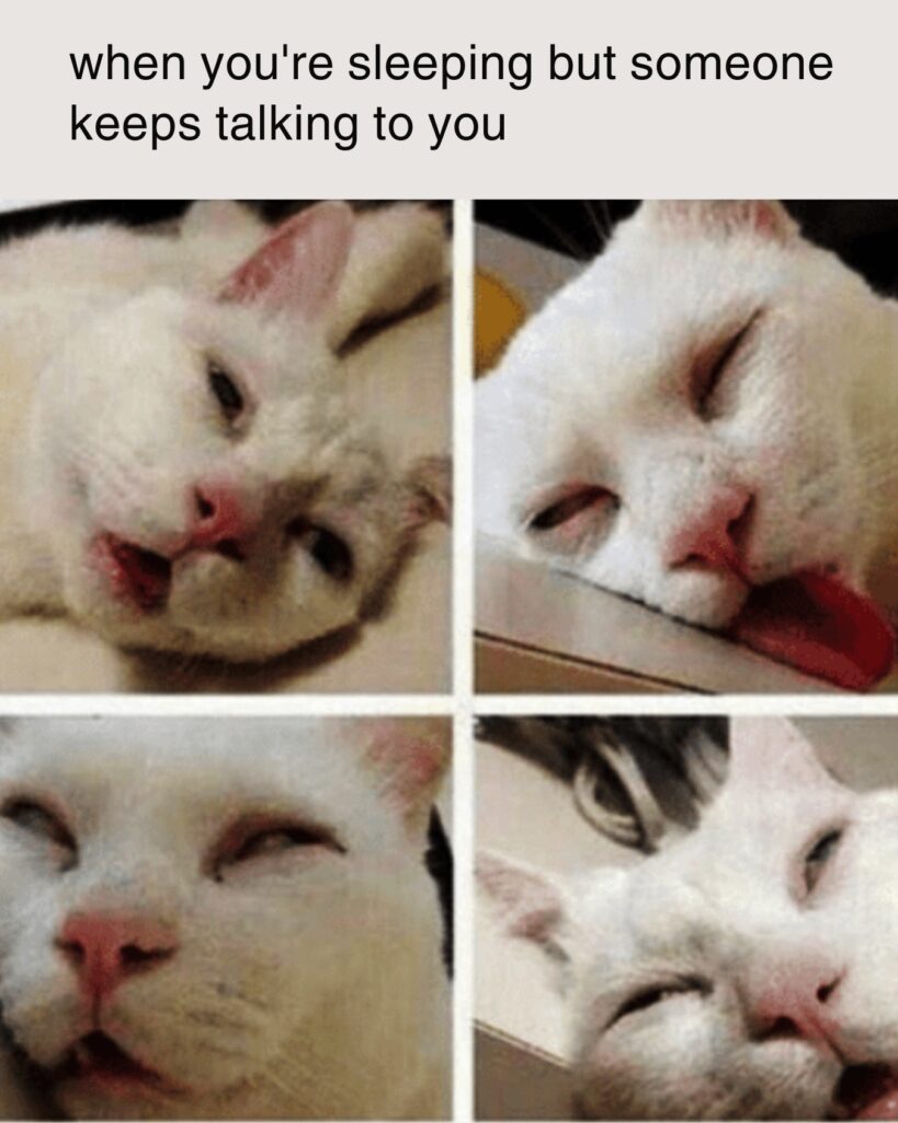 Ridiculous Sleep Memes